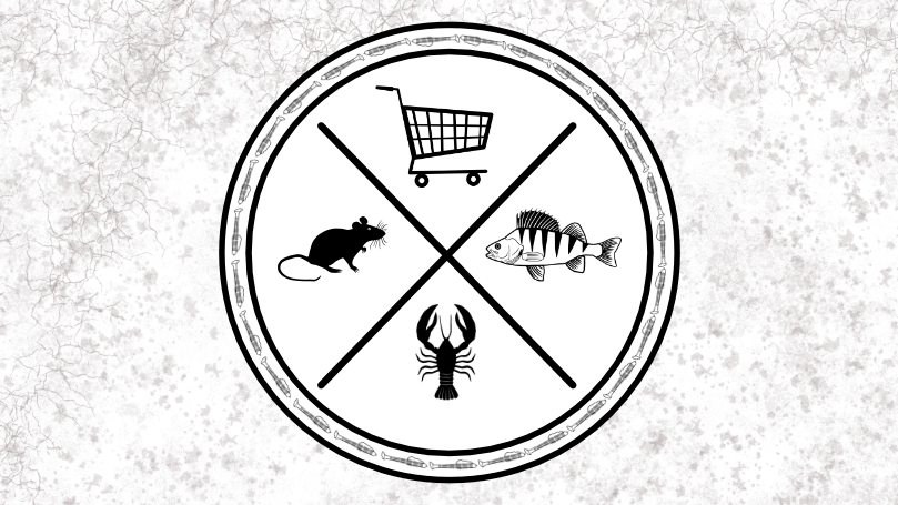 The A to Z of Canal Fishing