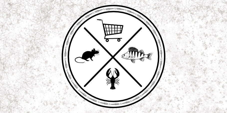 The A to Z of Canal Fishing